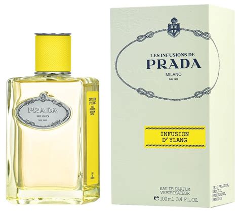 prada infusion vanilla|Prada infusion d'ylang.